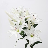 AR-1061 ZUOYI 58CM Real Touch PU Parfum Artificiel Fleur De Lys De Mariage Pour L'usine