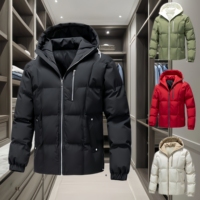 Veste en duvet pour homme, veste en duvet imperméable à capuche pour l'hiver, veste en duvet polyvalente personnalisable pour la mode de rue en plein air