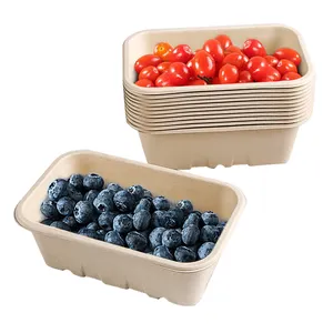 Bac à fruits secs compostables, pour fraises, Bagasse, pâte de fruits et légumes, plateaux d'emballage avec trou de vidange