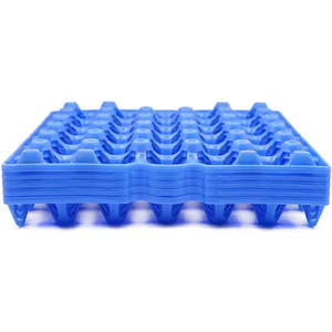 Bandeja de Plástico para <span class=keywords><strong>Huevos</strong></span> en Oferta, Bandeja de Plástico para Incubadora de <span class=keywords><strong>Huevos</strong></span> de <span class=keywords><strong>Gallina</strong></span>, Caja de Embalaje Reutilizable para 30 <span class=keywords><strong>Huevos</strong></span> - Product Image 5