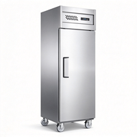 Réfrigérateur commercial en acier inoxydable, équipement de réfrigération de cuisine vertical, congélateur convertible basse température