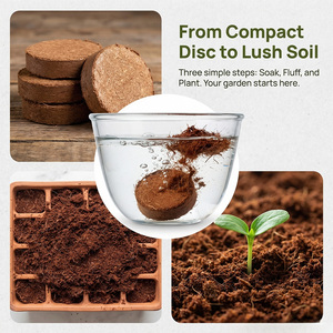 Groente teelt met geperste pure kokosvezel medium, voedingsrijke aardeblokjes en succulententeelt in kokosvezel - Product Image 2