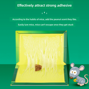 Inofensivo para los humanos Desechable Mouse Killer Glue Trap Sticky Rat Carton Board Mouse Trap Liquid Product Accessories - Product Image 2