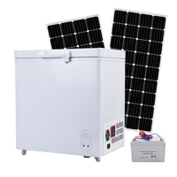 Congélateur coffre solaire hors réseau 12/24V DC, réfrigérateur horizontal à porte unique pour le marché africain, stockage alimentaire 100/150L