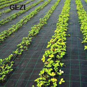 Toile <span class=keywords><strong>géotextile</strong></span> noire en plastique <span class=keywords><strong>anti</strong></span>-mauvaises herbes, tissée ou non tissée, perméable et imperméable, 1,8 m, 5 m, 30 m, 100 m, 200 m, 1 mètre - Product Image 2