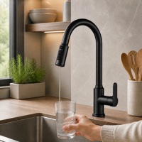 Robinet de cuisine en acier inoxydable 304 noir à double poignée avec cartouche céramique, mitigeur de comptoir avec filtre à eau extractible, vente en gros