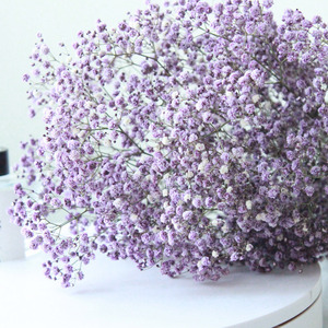 <span class=keywords><strong>Super</strong></span> Z Venta al por mayor Preserved Baby Breath Gypsophila Flores secas Colores personalizados para decoración de ramo de boda 400g - Product Image 5