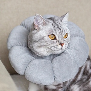 <span class=keywords><strong>Collare</strong></span> di Recupero Regolabile <span class=keywords><strong>per</strong></span> <span class=keywords><strong>Gatti</strong></span> Sunflower Elizabeth, Morbido <span class=keywords><strong>Collare</strong></span> Post-Operatorio <span class=keywords><strong>per</strong></span> Cuccioli e <span class=keywords><strong>Gatti</strong></span>, Cuscino <span class=keywords><strong>per</strong></span> il Collo del Gatto <span class=keywords><strong>per</strong></span> Prevenire il Leccamento - Product Image 5