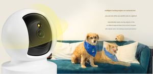 Cámara Inalámbrica AC <span class=keywords><strong>TPLINK</strong></span> TL-IPC44AW, Monitoreo de Video de 360 Grados con Acceso desde Teléfono Móvil, Sin Puntos Ciegos, Equipo Eléctrico - Product Image 5