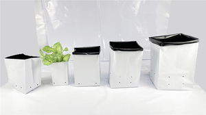Manufacturer Direct Wholesale <b>Plastic</b> Growing Bags for Garden <b>Tree</b> Planting & Sapling Nursery - Product Image 4