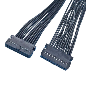 カスタマイズされた2*10ピン二列ホーン端子ワイヤーPVCカスタム長さ産業用制御機器の加工 - Product Image 3