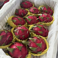 Mingtai Chinese Gekweekte Verse Drakenvrucht Rood Wit Vlees Rijk aan Vitamine C Verfrissende Smaak Super Kwaliteit Groothandel Bulk Leverancier