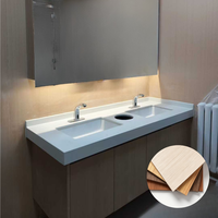 Panneau en mousse PVC miroir haute densité, imperméable et ignifuge, pour la construction durable de meubles de salle de bain