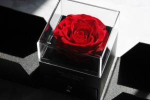Rosa real romántica-Caja de rosas de flores eternas para novia Abuela San Valentín Día DE LA MADRE Regalo de aniversario de Navidad - Product Image 5