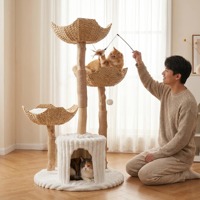 Lit pour chat en bois naturel de luxe personnalisé à bon prix, emballage carton Halloween pour intérieur