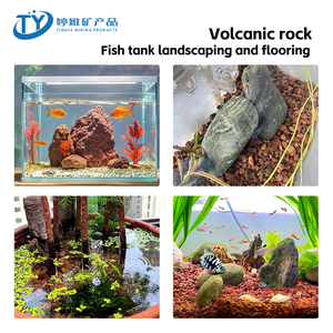 Décorations et ornements écologiques en porcelaine vitrifiée pour aquariums et tortues, vente en gros usine - Product Image 3