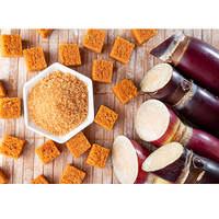 Sugarcane Processing Machine for Making Brown Sugar - Semi-automated, Low-yield Brown Sugar Equipment