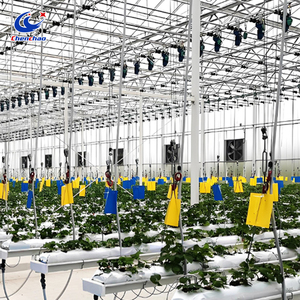 Gouttière de culture hydroponique surélevée et relevable, bac de culture de plantes, système de culture verticale de <span class=keywords><strong>fraises</strong></span> <span class=keywords><strong>en</strong></span> gouttière - Product Image 5