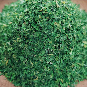 Bubuk Daun Seledri Alami Dehidrasi, Pasokan Pabrik, Kualitas Makanan Alami, Kering Secara Alami, Kemasan Besar - Product Image 3