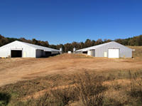 Conception moderne Structure en acier Bâtiments d'entrepôt préfabriqués Poulailler Maison pour poulets de chair Hangar de ferme Bâtiment pour volailles