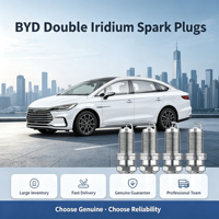Bougies d'allumage double iridium pour BYD Qin Plus Song Plus DM-i 1.5L, OE 13505385-00, allumage plus puissant, durée de vie ultra longue 100 000 km