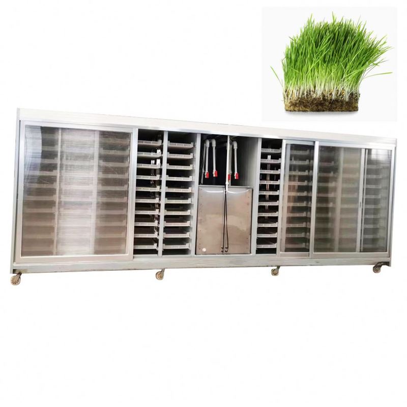 Hydroponic Seeds Germinate Machine green Fodder