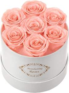 Fleurs éternelles <span class=keywords><strong>Fose</strong></span> roses préservées éternelles dans un dôme en verre avec LED pour les cadeaux d'affaires promotionnels d'entreprise de Noël - Product Image 5