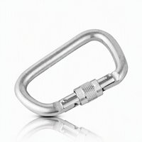 Fournisseurs de la branche : Boucle de sécurité principale en acier 020 argentée, personnalisable, pour alpinisme, camping en extérieur et escalade