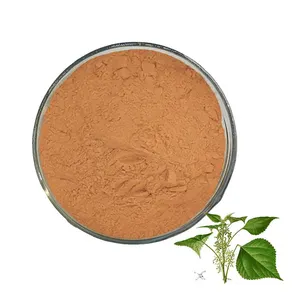 Herbasea Pure Kruid Extract Verbeteren Lever Brandnetel Wortel/Blad/Plant Extract Poeder