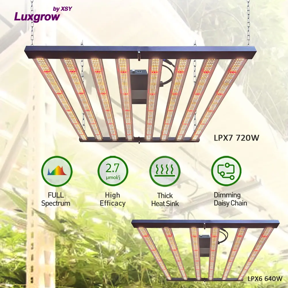 Luxgrow lâmpada led para áreas internas, 600w, 640w, aranha, 6 bar, osran, samsung lm281b, lâmpada de espectro completo, 8, 720w, luz para crescimento, para áreas internas