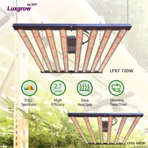 Luxgrow 600w 640w örümcek 6 Bar osram Samsung Lm281b tam spektrum lamba 8 Bar 720w büyümeye yol açtı kapalı bitki için ışık şerit eko