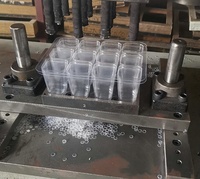 Couverture respirante en plastique pour plantes de serre, pot de pépinière, boîte de culture, plateau de semis à 6 cellules, plateau de germination à 12 cellules