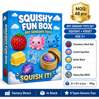 Southpeak Toy Squishy Fun Box 8PC Jouets sensoriels à presser Axolotl Mesh Ball Butter Ice Cube Galaxy Bao BOSS 21x19cm MOQ48 OEM WS
