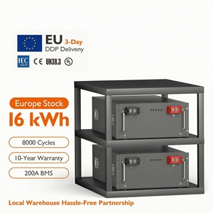 ระบบโซลาร์เซลล์ไฮบริดออฟกริดยอดนิยม แบตเตอรี่แยกส่วน 48V/51.2V 100Ah 200Ah 314Ah พร้อมอายุการใช้งาน 8000 รอบ และรับประกัน 10 ปี - Product Image 3
