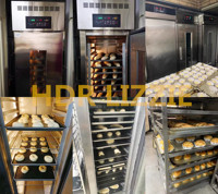 Machine de Fermentation de Pain avec Humidificateur, Équipement de Boulangerie