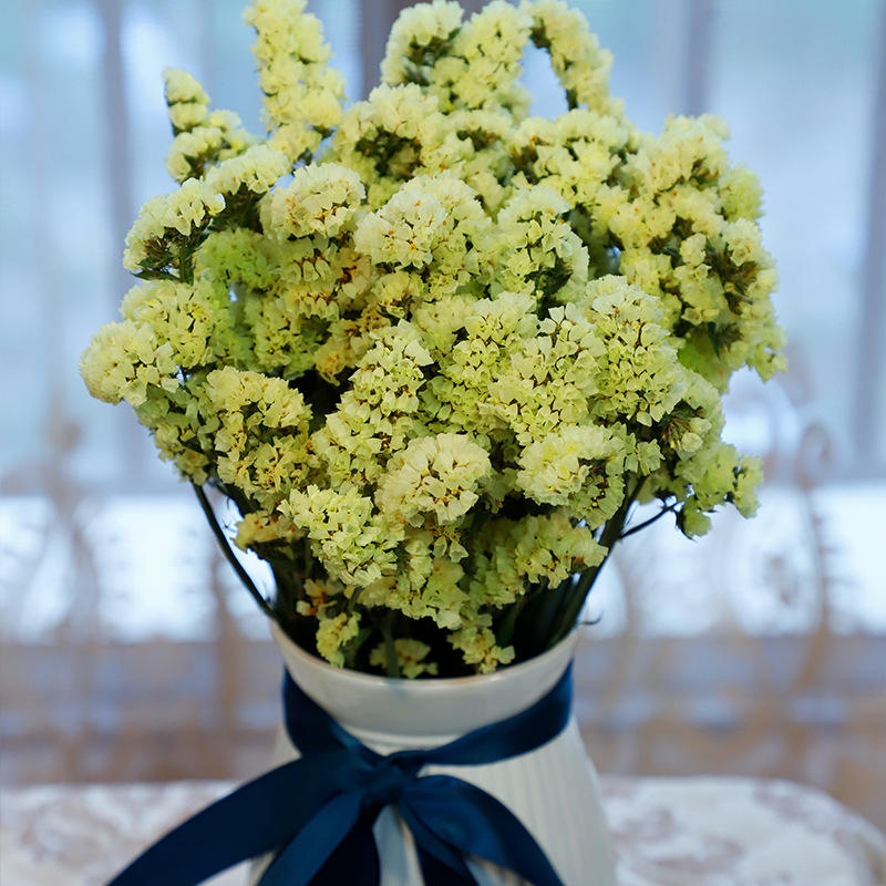 Style 5 (pas de vase)