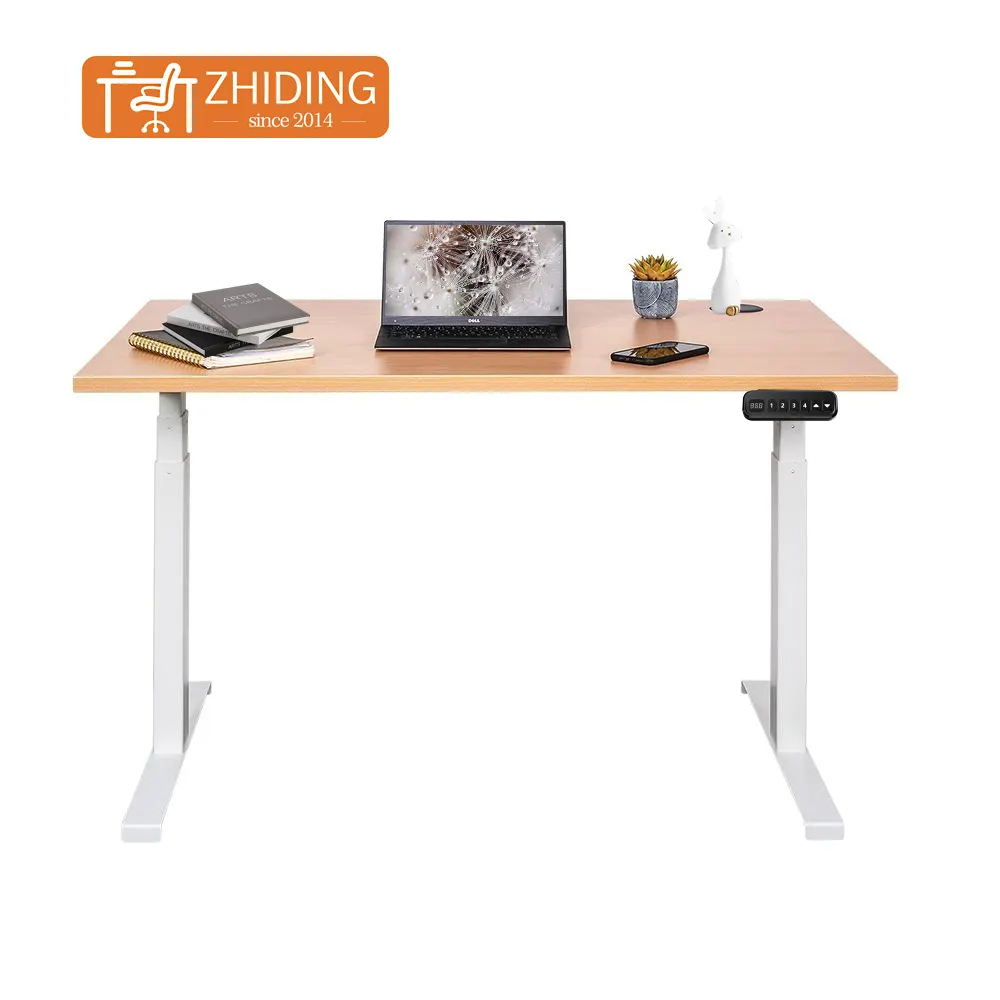 Wholesale Small Electric Adjustable Sit Standing Desk Multifunction Adjustable Height Table