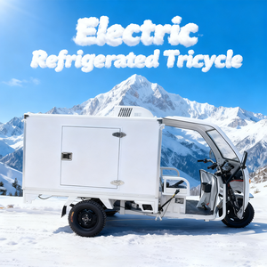 Nouveau design <span class=keywords><strong>de</strong></span> tricycle électrique à trois roues avec mini chambre froide réfrigérée, boîte <span class=keywords><strong>de</strong></span> congélation, réfrigérateur, pour la rue - Product Image 2