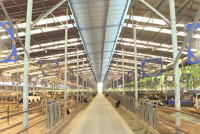 Conception moderne de bâtiments préfabriqués à structure en acier Hangar à vaches et ferme avicole pour vaches porcs moutons pour entrepôts