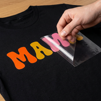 Transferts thermiques de haute qualité pour imprimante, motifs d'autocollants, logos, plastisol, transfert thermique DTF pour t-shirt