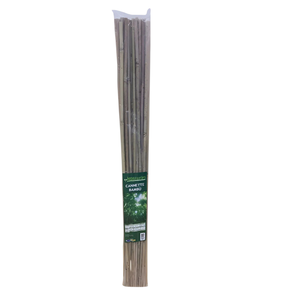 SET 20 CANNETTE DE BAMBU DE 90CM DE DIAMETRO 8/10 mm - Product Image 1