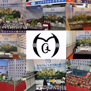 OEM 188F 카뷰레터 188F 190F 188 GX390 GX420 15마력 가솔린 엔진 부품 틸러 워터 펌프 카뷰레터 PZ27 카뷰레터 - Product Image 6