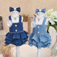 Jupe salopette classique en denim mélangé coton style Hong Kong pour chien, automne et hiver, pour Teddy Bichon, Guangdong PET-DMGD282B, vêtements pour animaux de compagnie