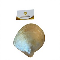 Plateau de service décoratif moderne de luxe en nacre naturelle faite à la main pour la présentation de bijoux et de bibelots, décoration intérieure