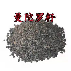 Empaquetado en una bolsa de semillas de estramonio secas con patrón de alimentos y bebidas de sabor seco - Product Image 4