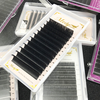 Plateaux d'extension de cils en cachemire de marque privée en gros J B C CC D DD L Extension de cils Curl avec boîte d'emballage de cils personnalisée