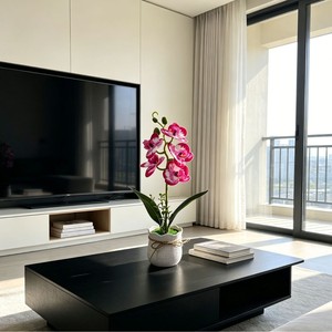 Plante artificielle Paulon Phalaenopsis Orchidée, 34 cm de haut, en plastique souple, décoration intérieure, fleur en pot, décoration de salon, décoration de la maison - Product Image 4