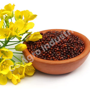 Graines de moutarde brune séchées de qualité supérieure crue parfaites pour les solutions - Product Image 3