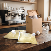 Sac Bag-in-Box personnalisé de qualité alimentaire, avec bouchon à vis blanc, haute barrière, pour liquides (vin, jus de fruits, boissons) et emballage de recharge