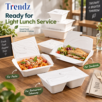 Trendz Grande Capacité Biodégradable Bagasse Salade Pâtes Sandwich Emballage Léger Boîte À Lunch Restaurant Conteneur Alimentaire À Emporter